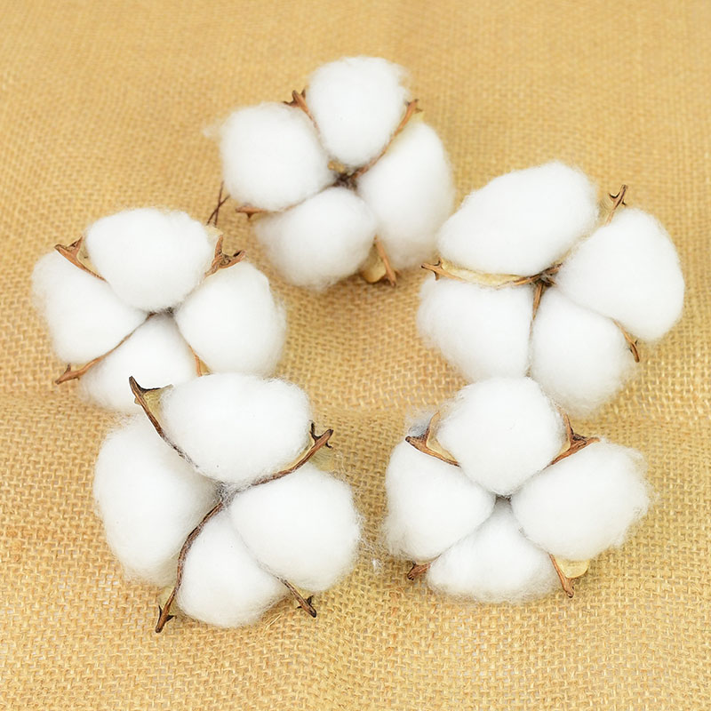 10 Piezas de Flores Artificial - Florist Wreath Supply reseña y precio